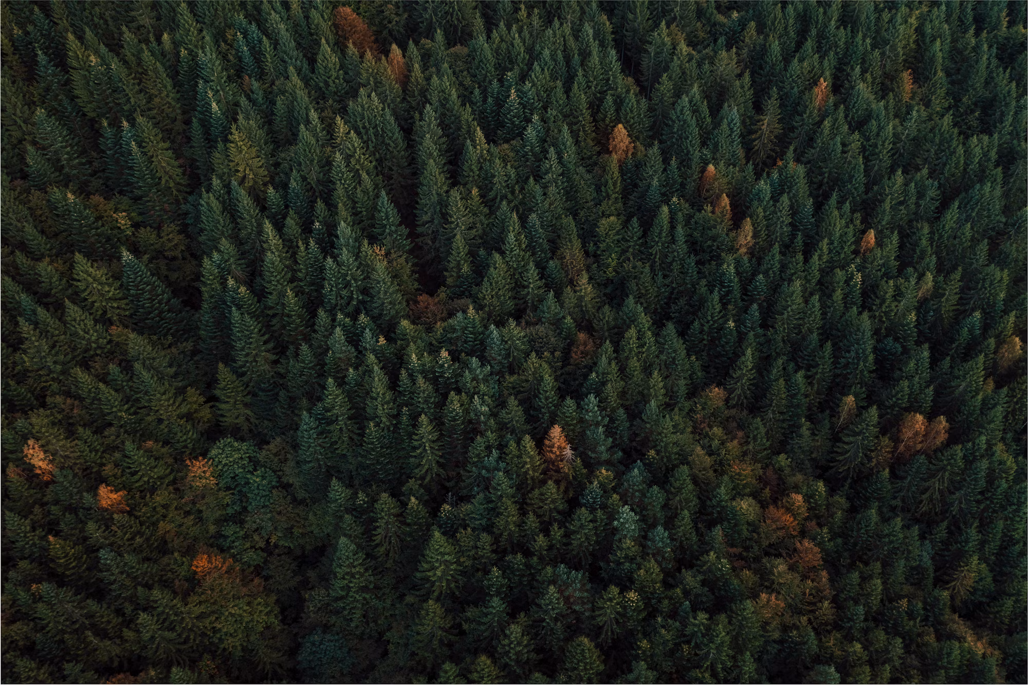 Nature’s Pathways: A Journey Through Iconic Hiking Trails