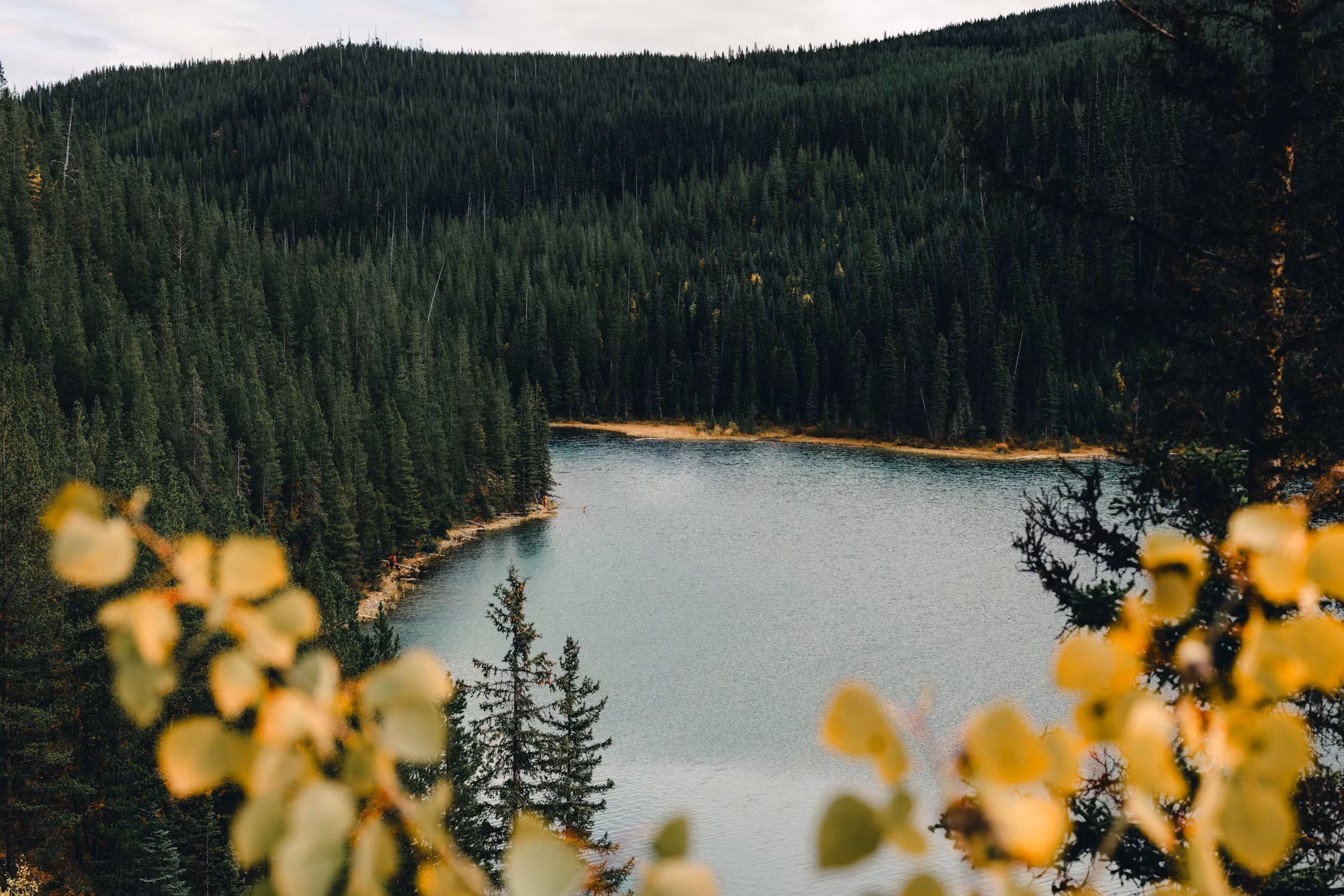 Exploring the World of Hiking: A Journey Through Trails and Experiences