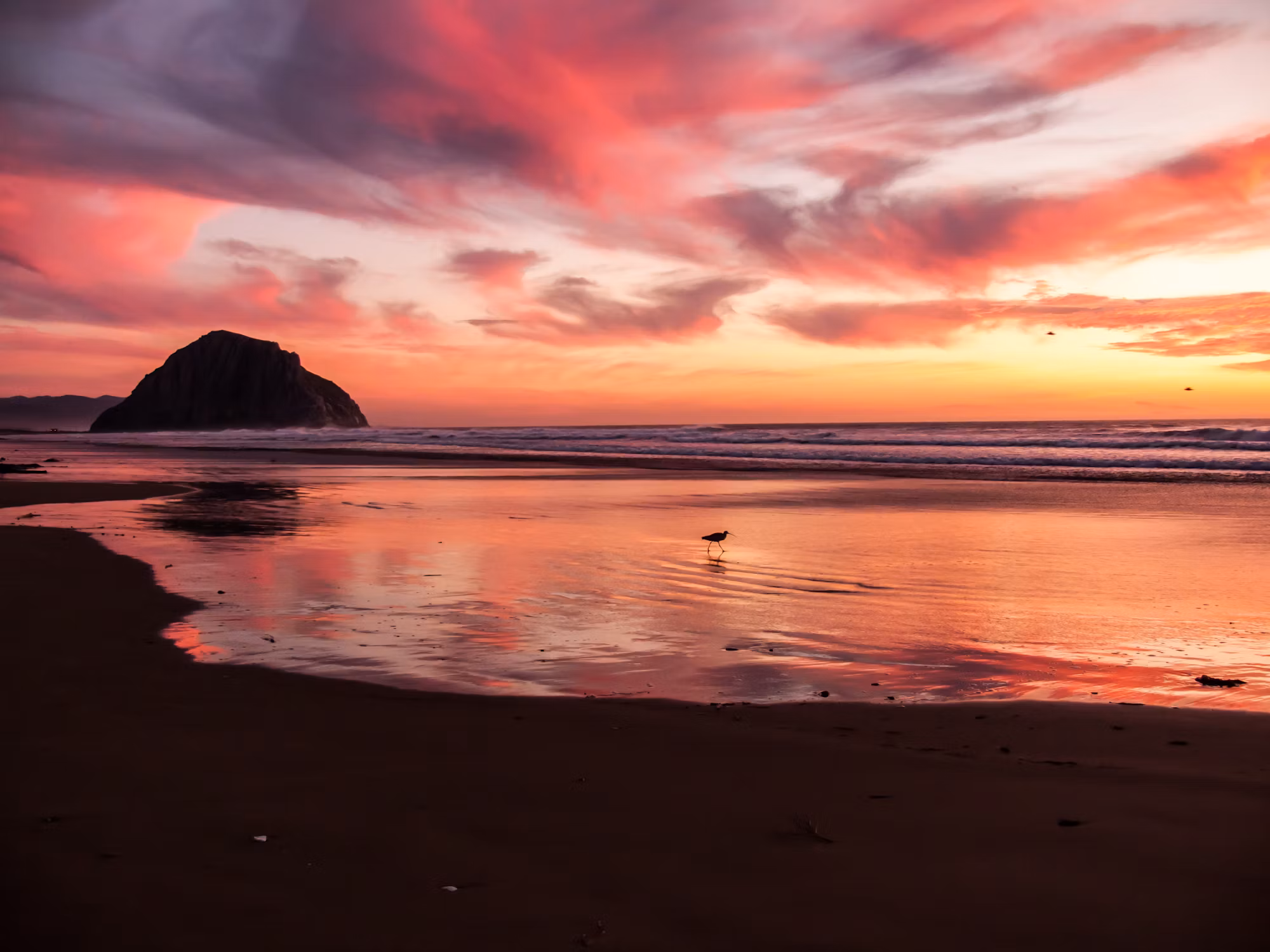 Exploring the Enchantment of the World’s Marginal Seas